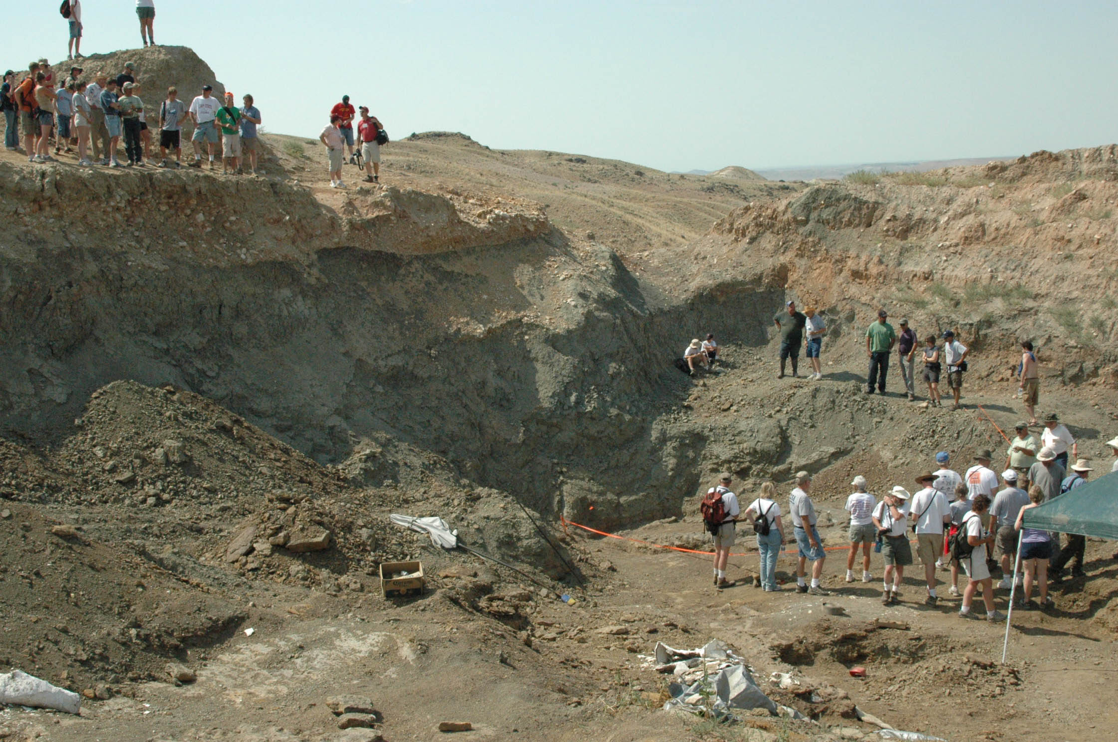 Big Camarasaurus digsite
